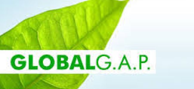Global GAP