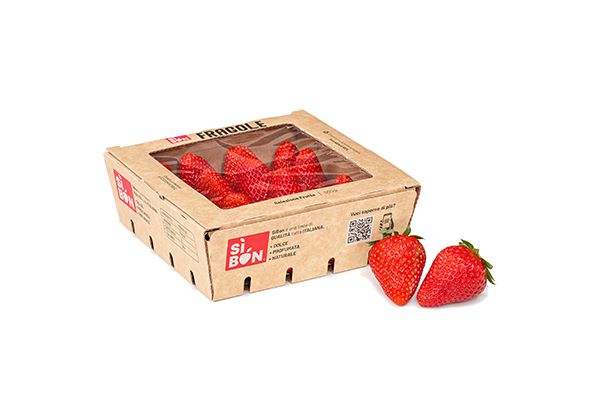 Fragola
