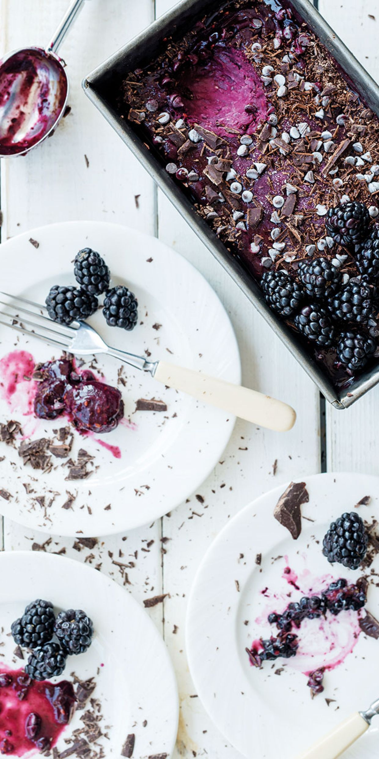 Sorbetto alle more e cioccolato fondente