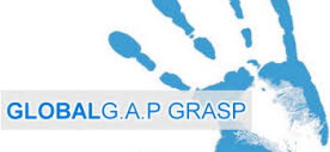 Global GAP