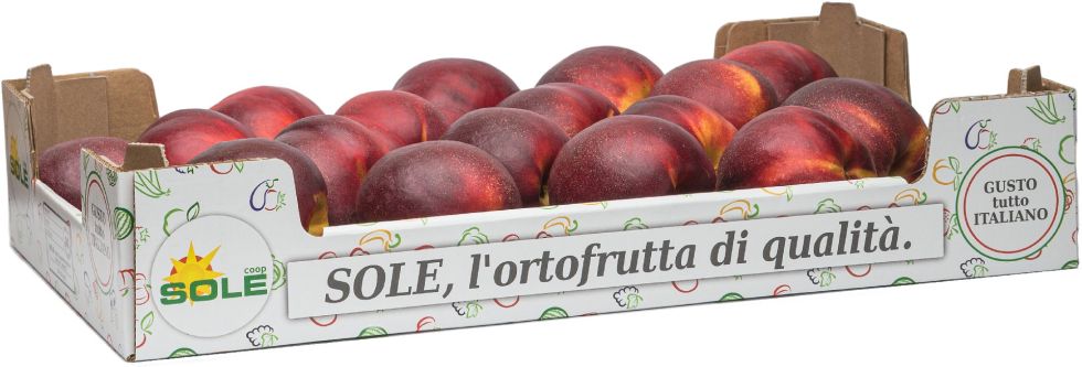 Nectarine