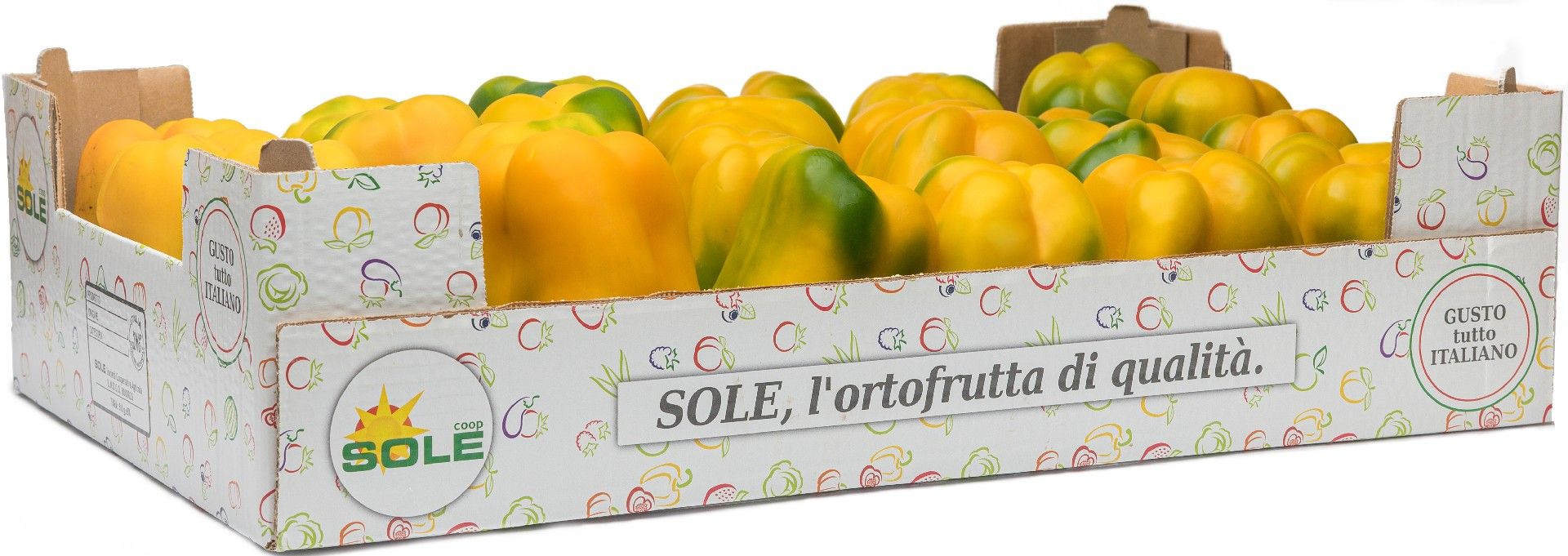 Bell pepper