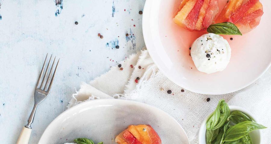Watermelon and melon terrine with mozzarella and basil ice cream
