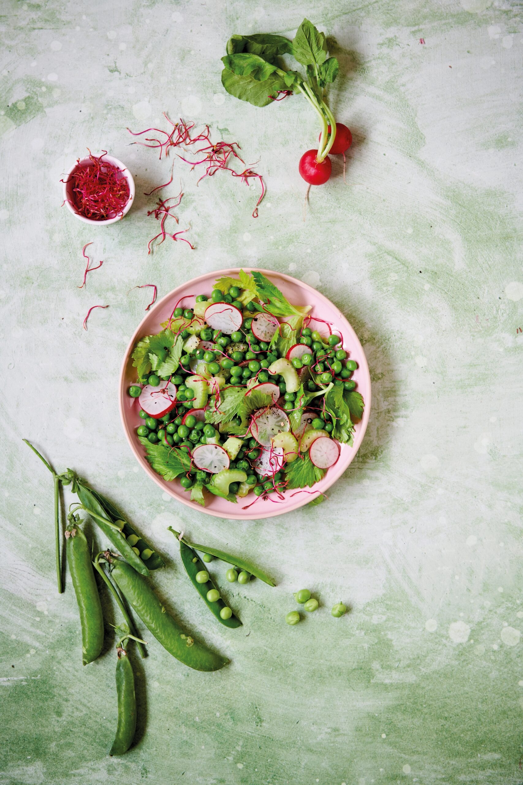 Insalata di piselli, sedano e ravanelli
